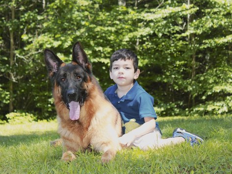 Protection dog and young boy lying in the grass next to a forest