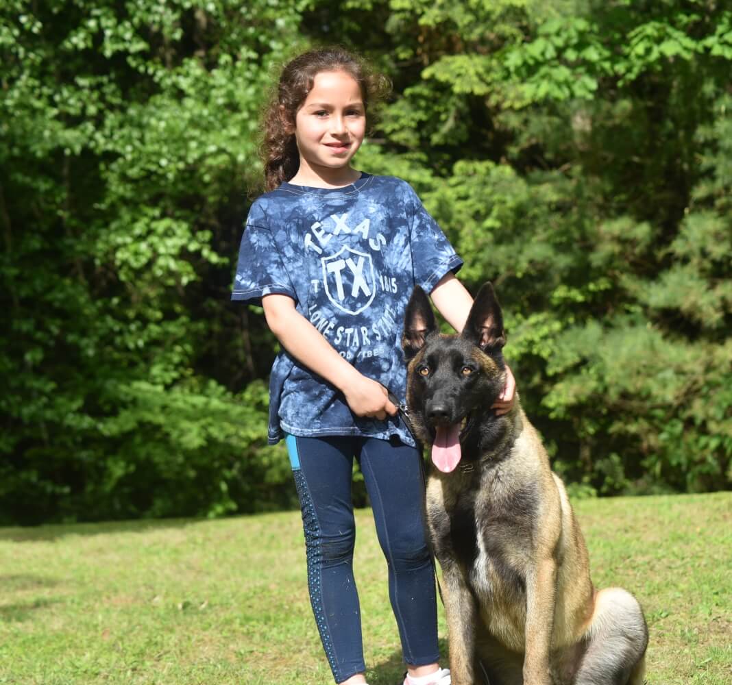 A young girl standing next to a protection dog sitting in the grass in front of a forest