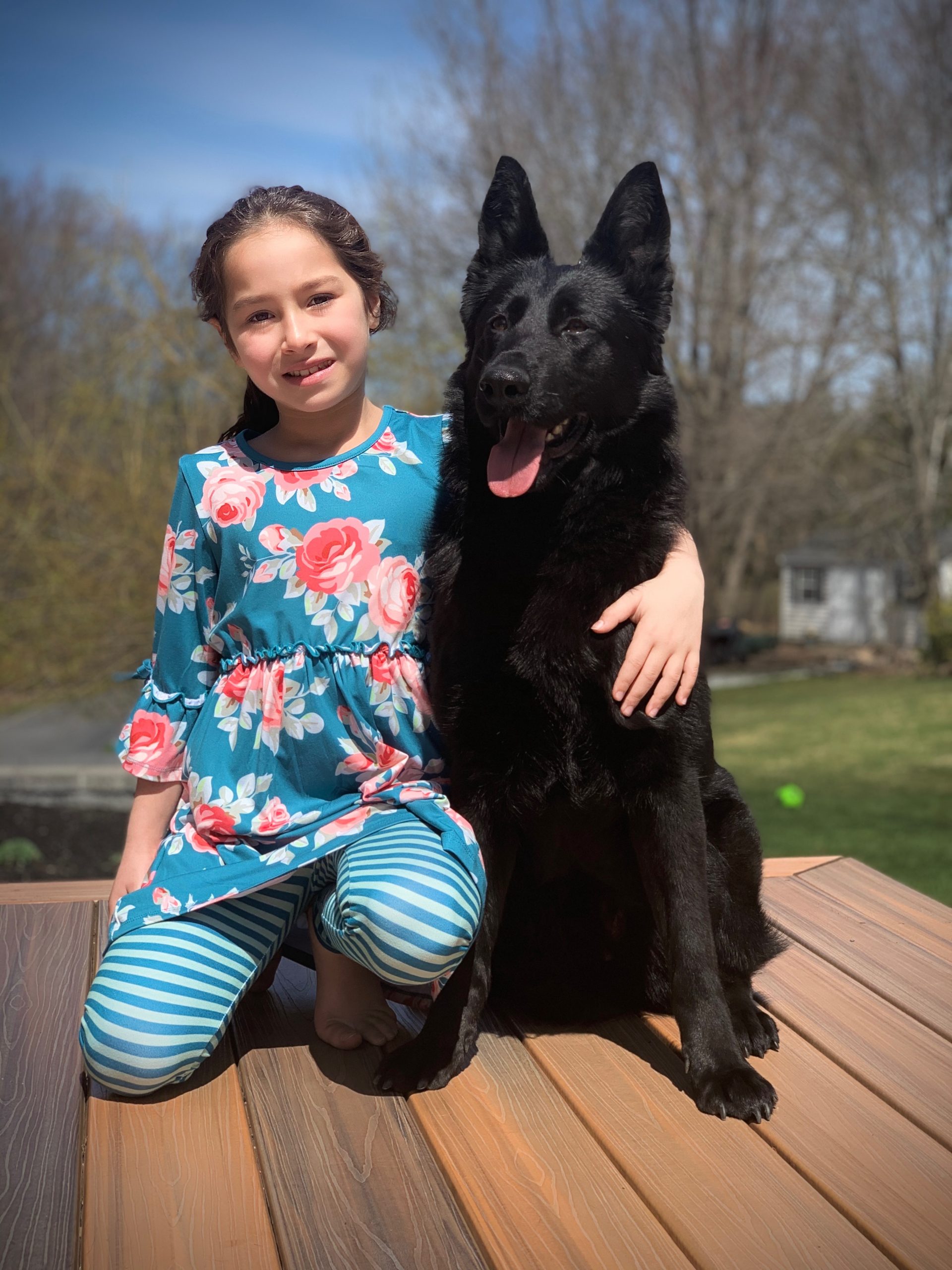 Protection dog and a young girl sitting on a deck