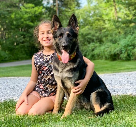A young girl and a protection dog sitting in the grass of a backyard